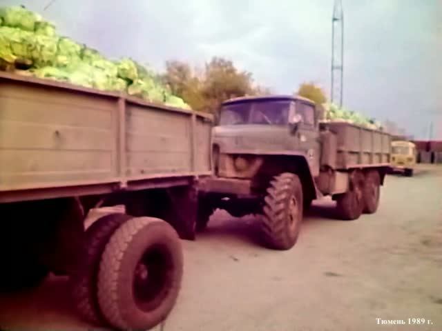 1989 год. Тюмень. Овощи для отправки на север