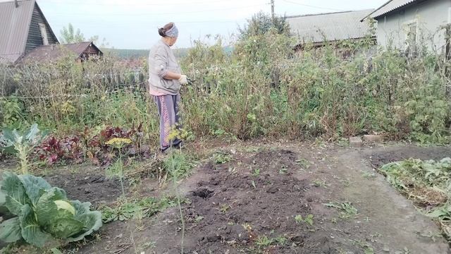 Жизнь в деревне без прекрас. Домашние и огородные дела.