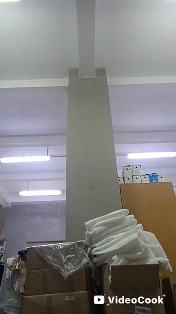 жизнь зомби от начала до конца