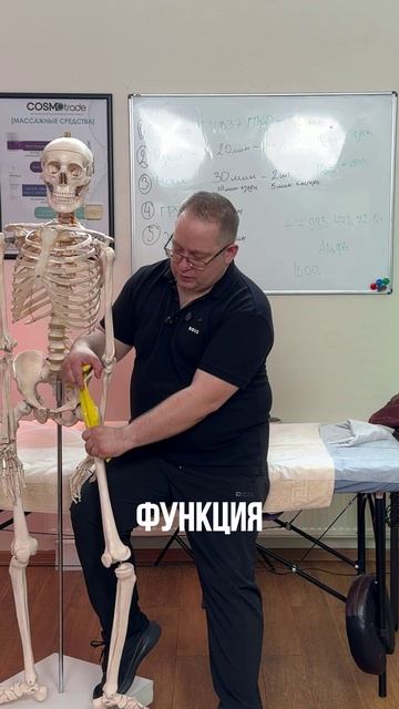 Как работает массаж #массаж #reels #recipe #pain #anatomy #massage #terapia #test #live #sports #fit