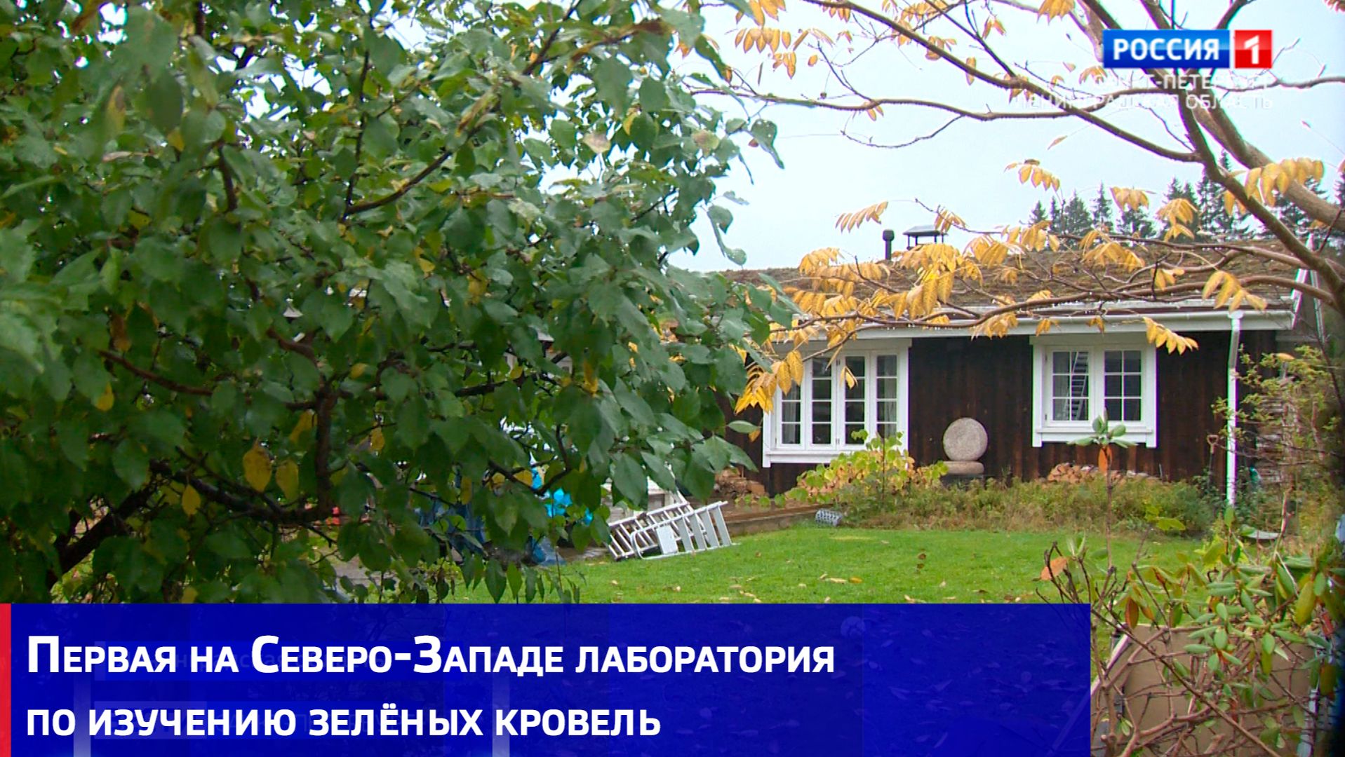 Петербургские учёные создали первую на Северо-Западе лабораторию по изучению зелёных кровель