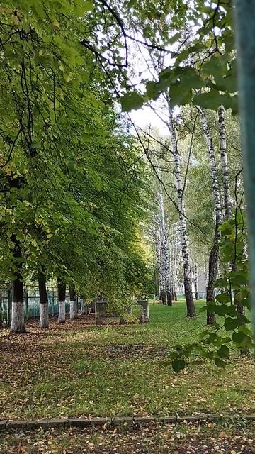 23-09-2026 Привет! Пошли прогуляемся!
