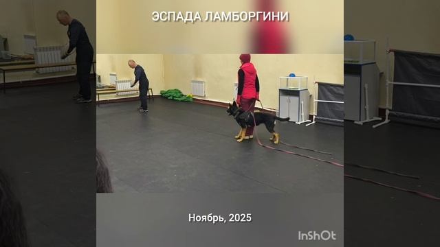 Эспада Ламборгини, тренинг по защите. Ноябрь 2025