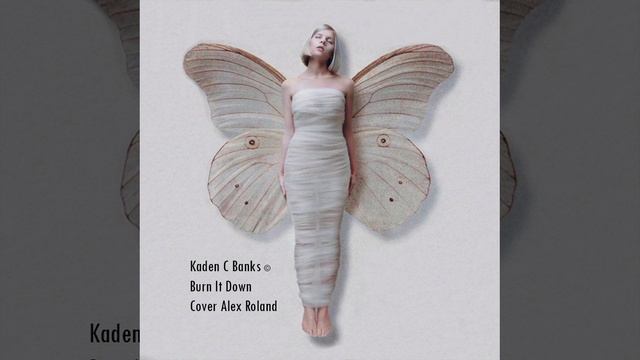 Kaden C Banks © Burn It Down - Cover Alex Roland