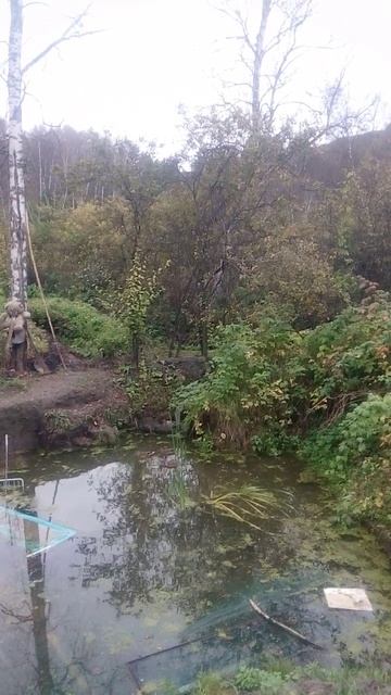 Разное