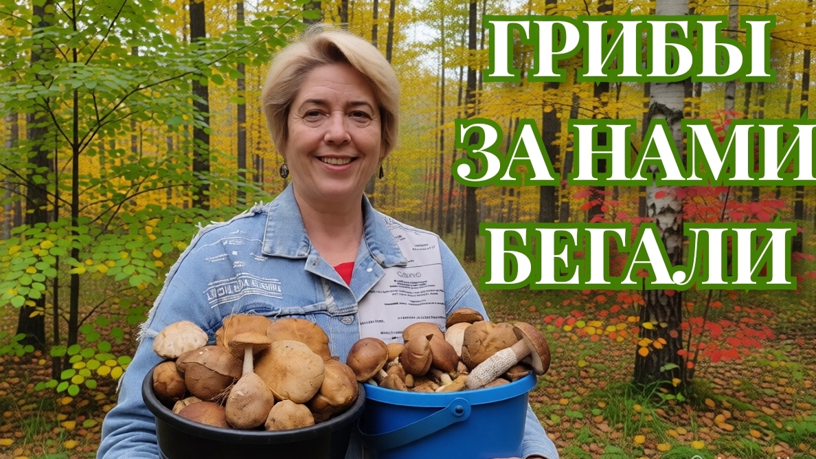 Грибы за нами бегали... возьми, да возьми 23-09-2026