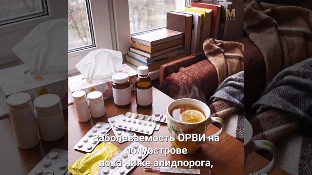 ГЛАВНОЕ ЗА МИНУТУ | 23.09.26 #камчатка #новости