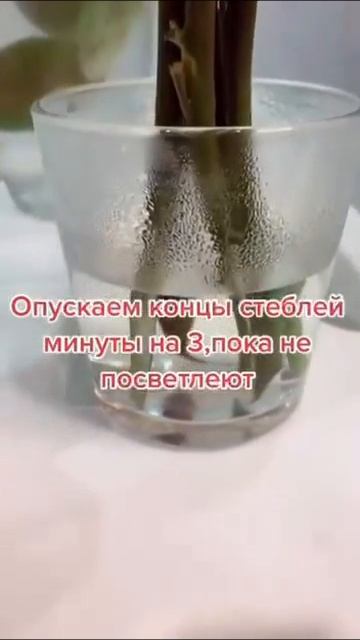 ПОЛЕЗНЫЕ СОВЕТЫ  #полезныесоветы  #женщинам #ОльгаБлогер #еда
