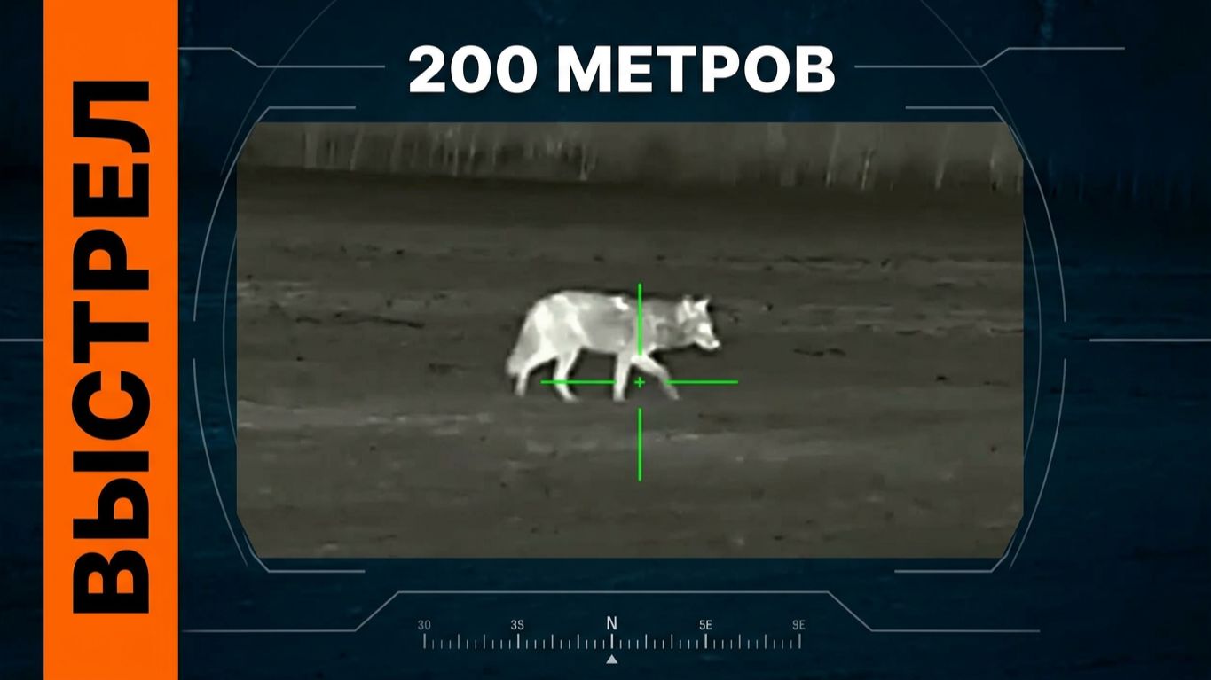 Демонстрация картинки с тепловизионных и ночных приборов. Выстрелы и наблюдение за животными
