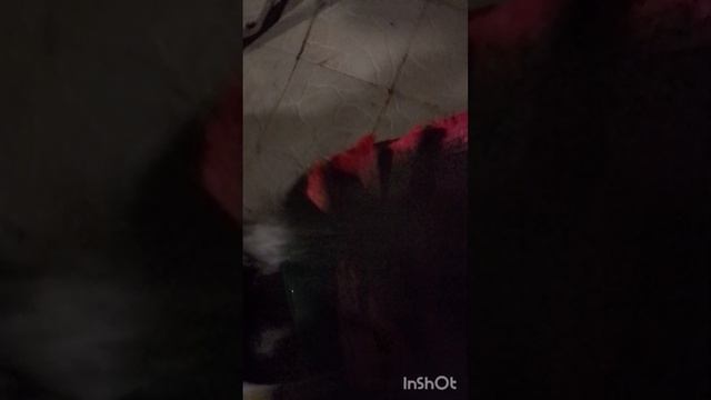 хоррор видео только для тех , кто внимателен #хоррор#судья#реалити