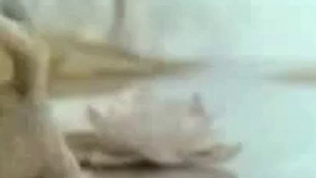 Из мульт.СССР эпизод
