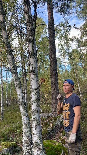 Видел чагу