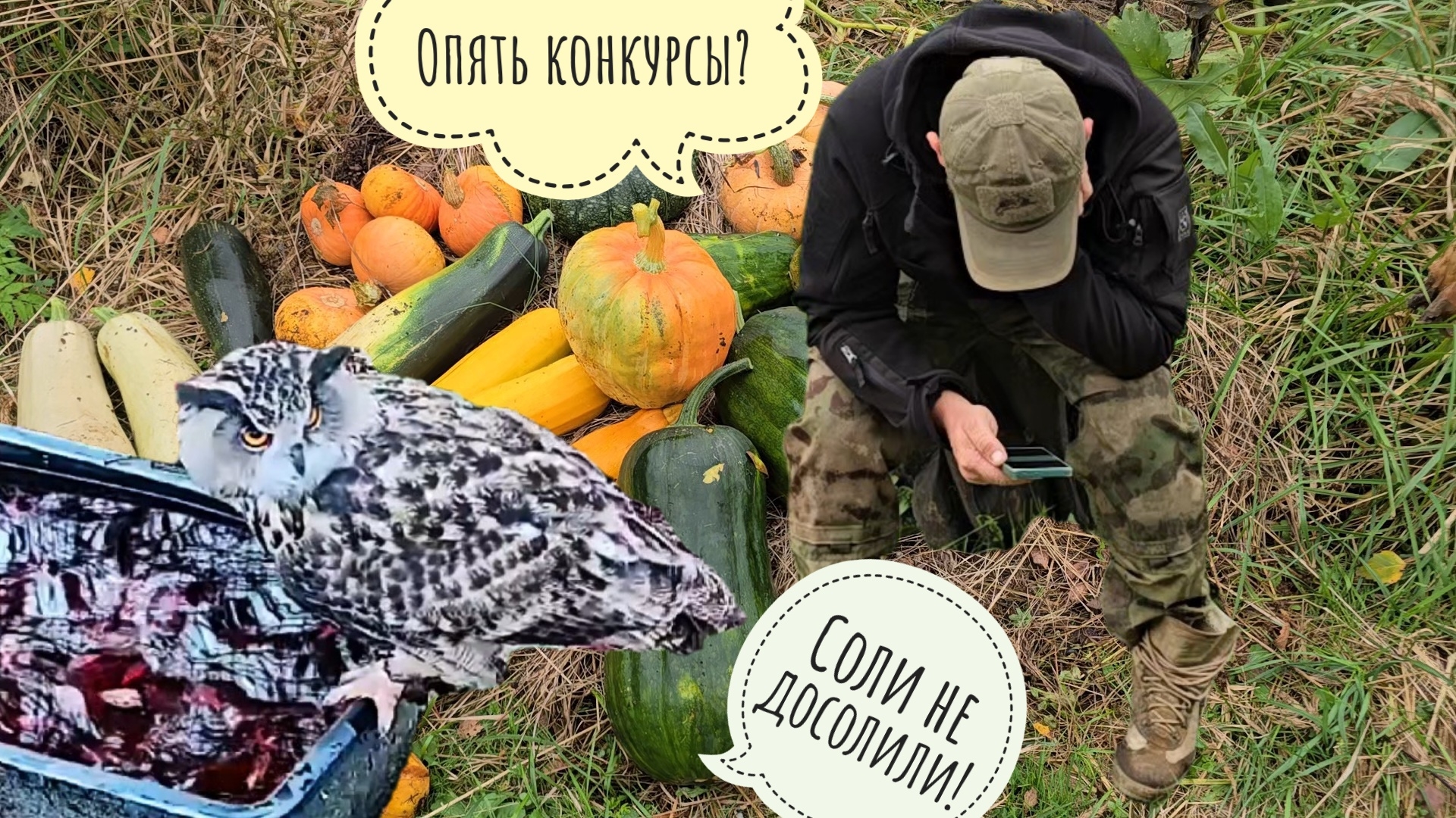 Осенний супь с совой. Пилим дерево,собираем урожай кабачков и тыкв.У кошки Морошки всё под контролем