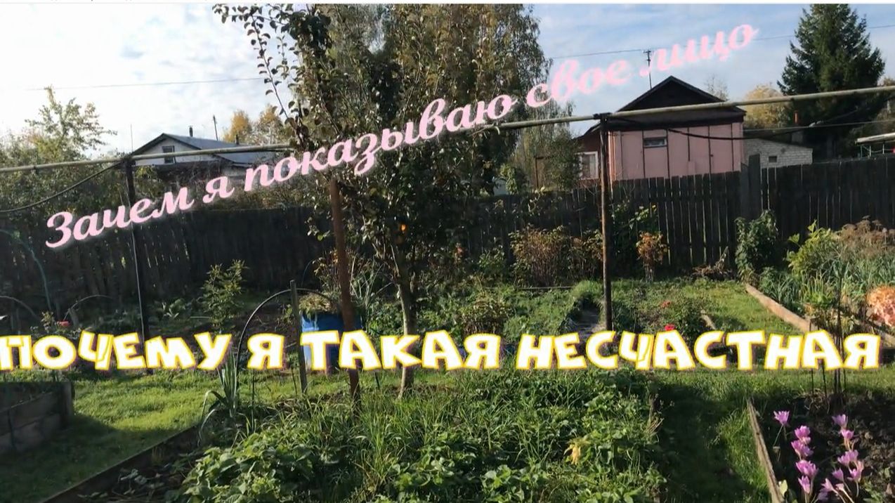 Нужные покупки с OZON. Отвечаю на комментарии. Случаи из моей жизни.