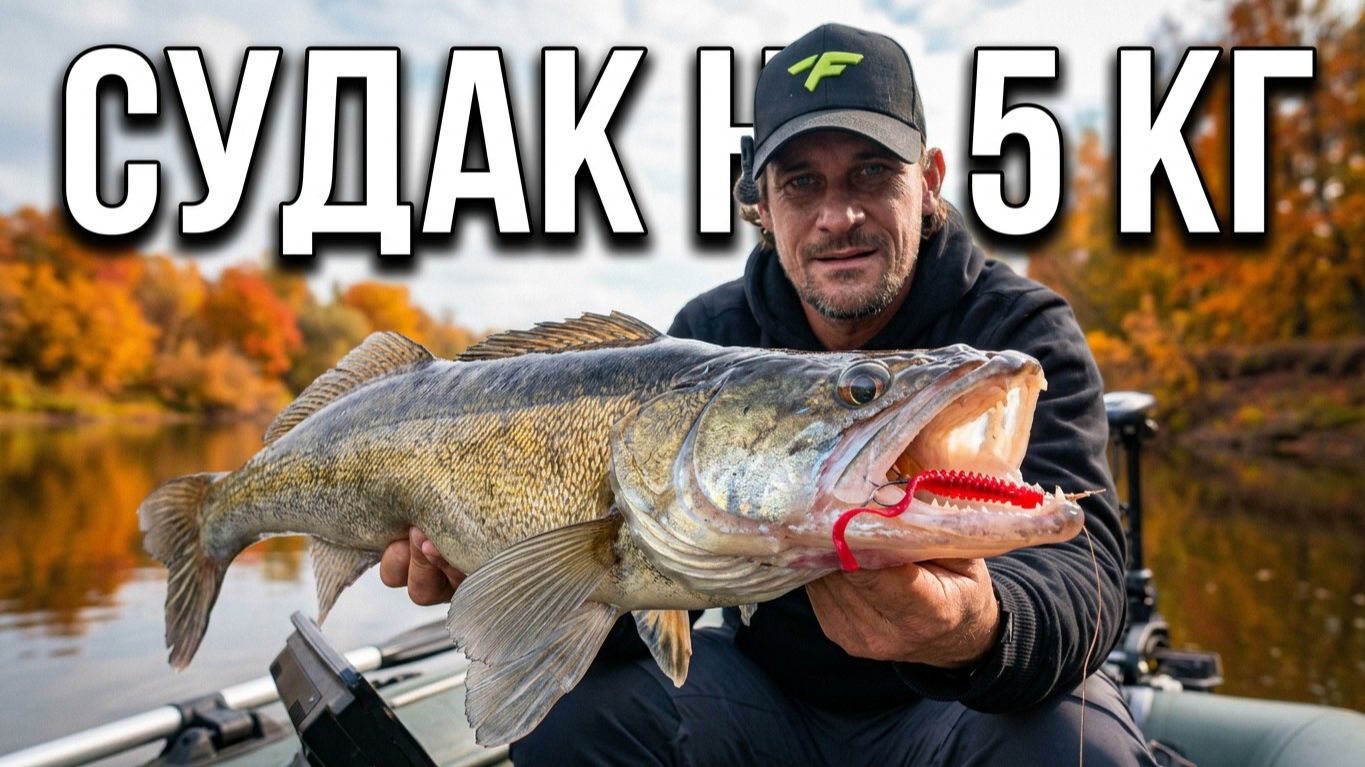 Ловля судака