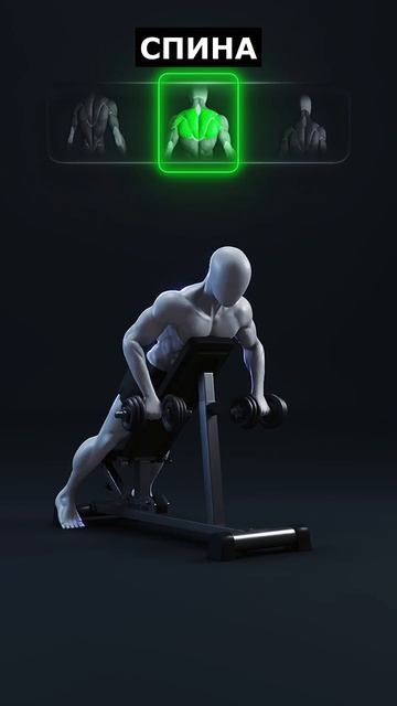 💪🔥 Проработайте все отделы спины  Подходы и повторения • 2–3 подхода • 8–12 повторений