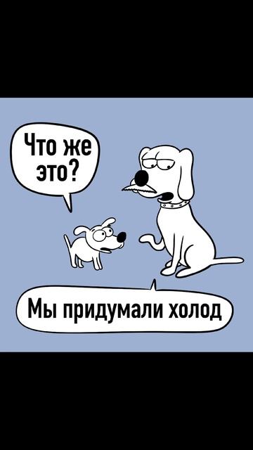 Мем про собаку сына и собаку отца