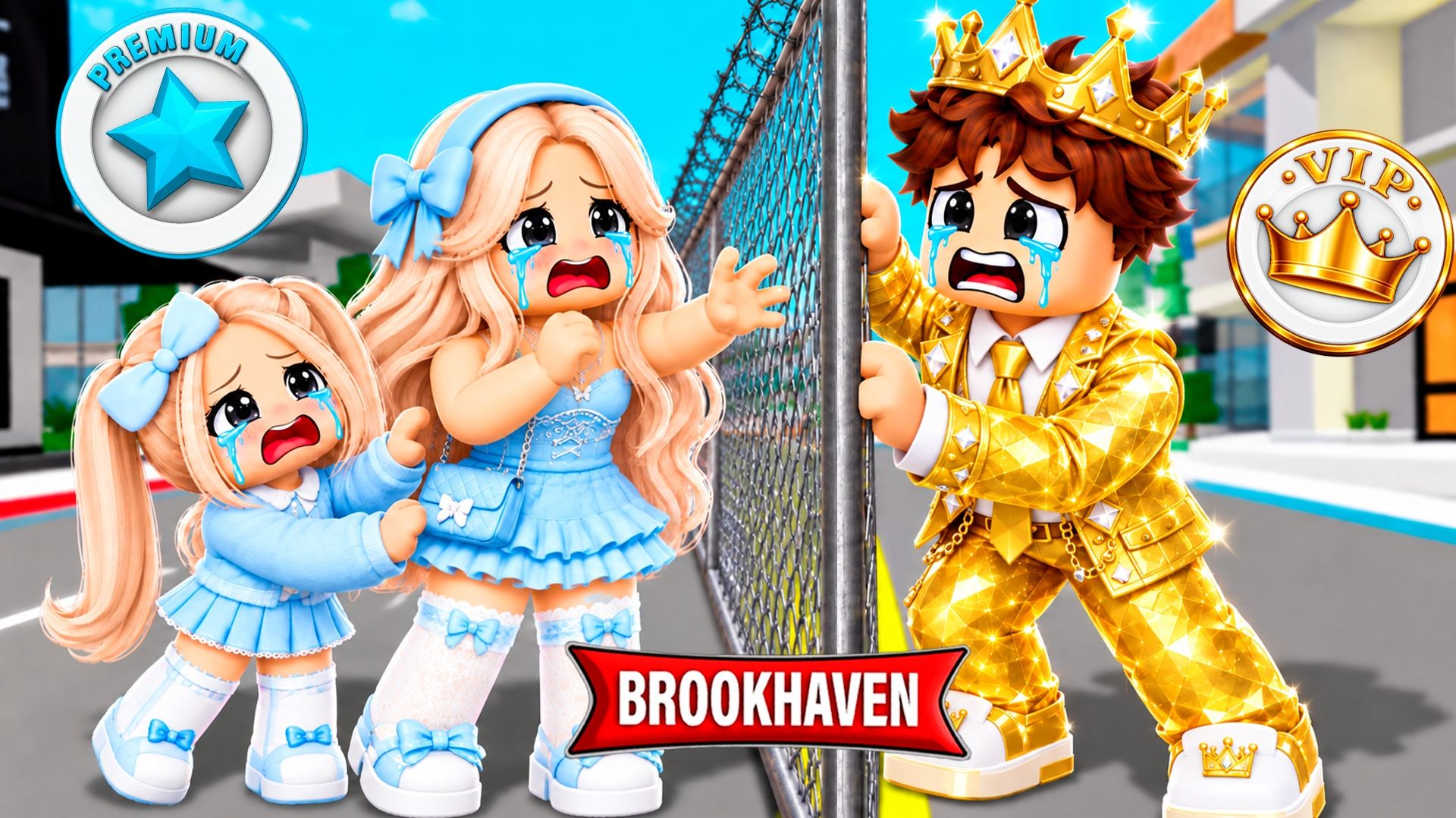 СТЕНА между VIP и PREMIUM РАЗДЕЛИЛА нашу СЕМЬЮ в Brookhaven RP! 🏡