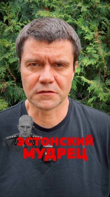 Балтийское сияние мудрости