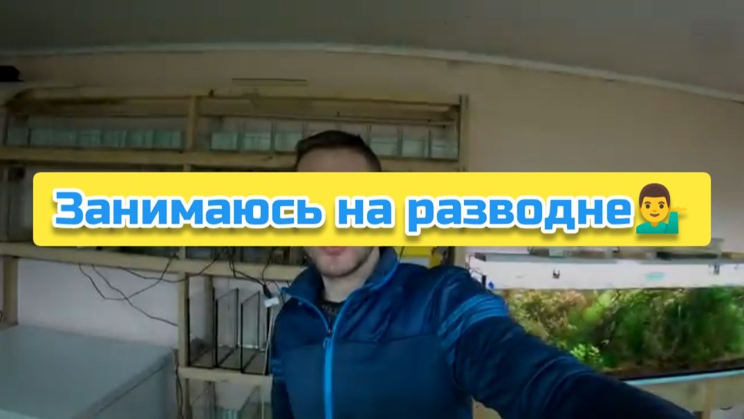 Занимаюсь на разводне💁♂️