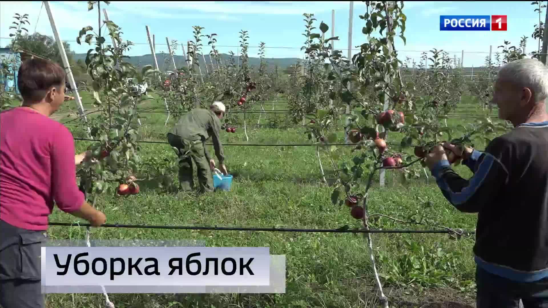 21.10- «Вести. Адыгея» от 23.09.2026г.