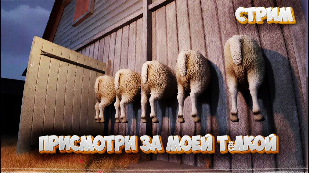 Записи стримов