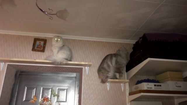 Бастиан и Касуми видео #2