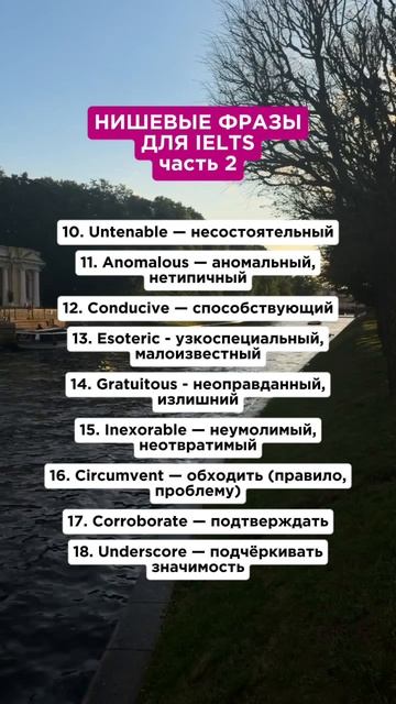 Нишевые фразы для IELTS #ielts #ieltswriting