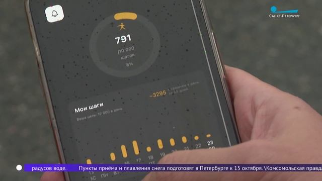 Спорт