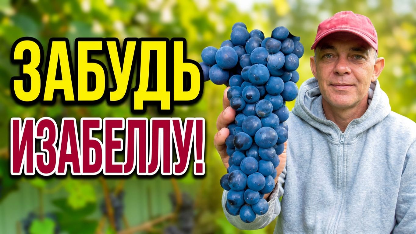 ВИНОГРАДАРСТВО