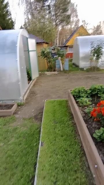 Любимая дача😊