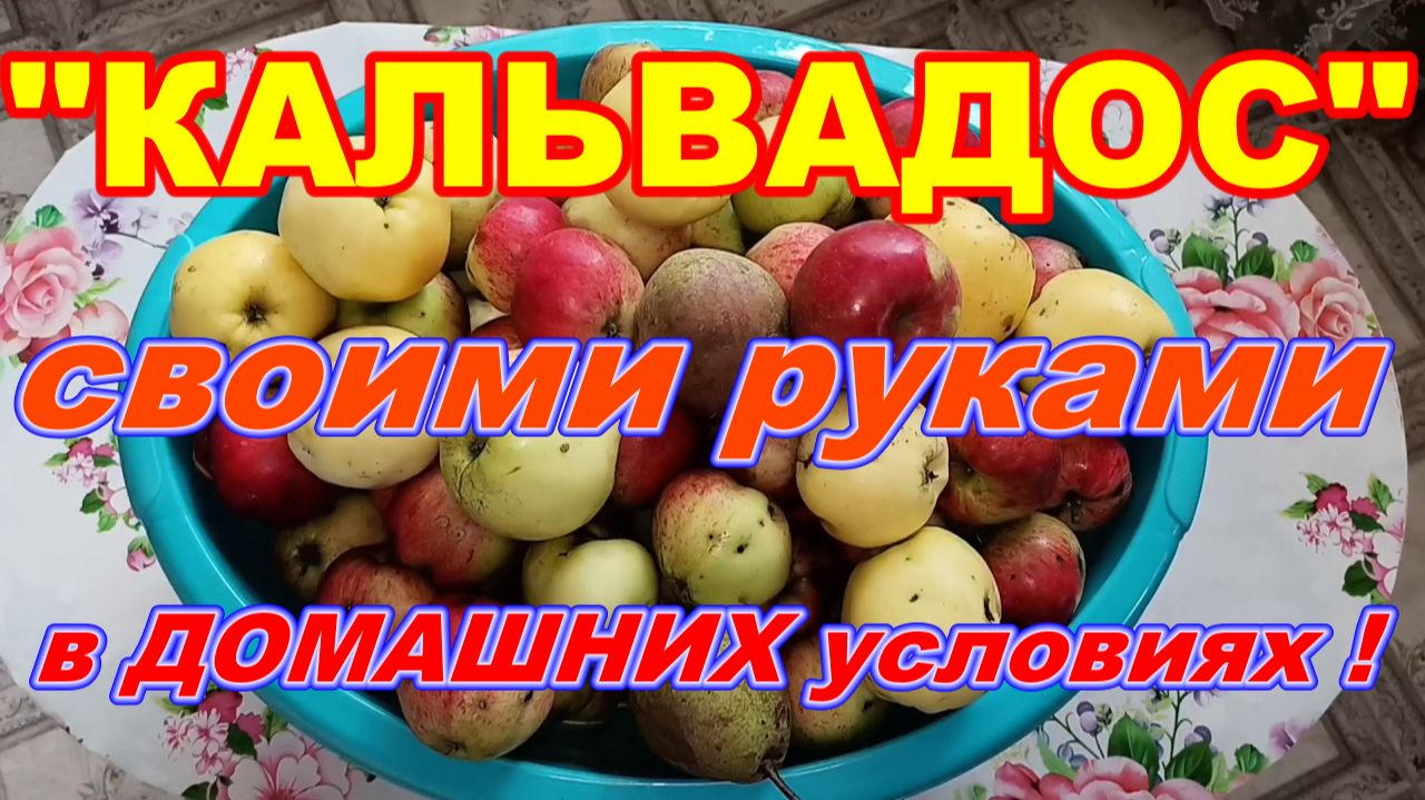 САД ОГОРОД ДАЧА