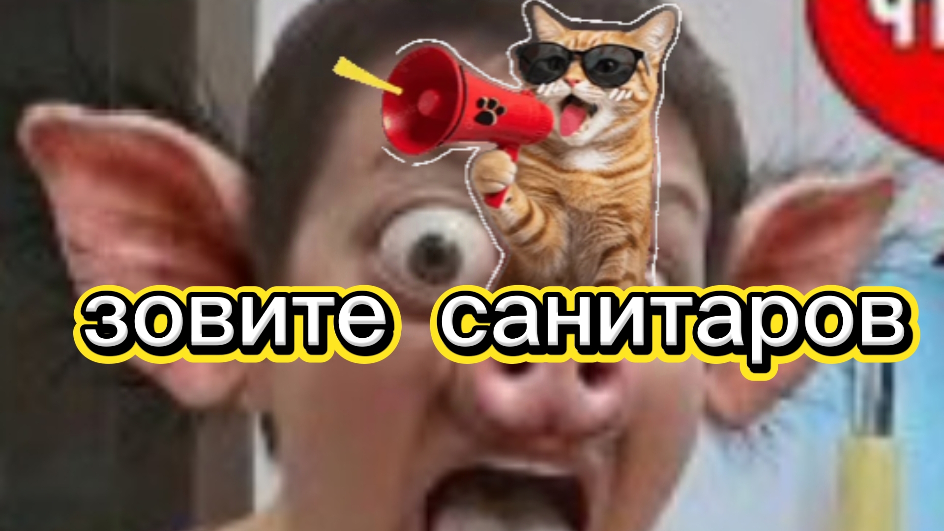 Пиратская жизнь,Элла эмели - зовите санитаров