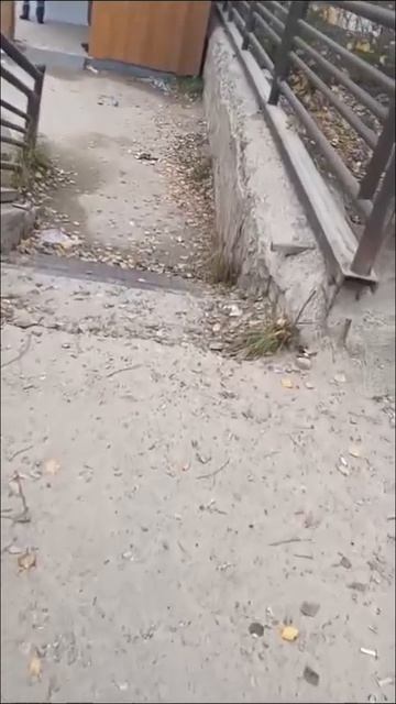 Мой город