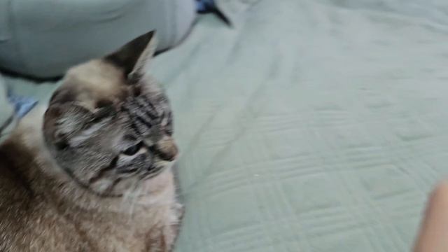 НУ НАКОНЕЦ ТО ОТПУСК /НАЧАЛО ПУТЕШЕСТВИЯ