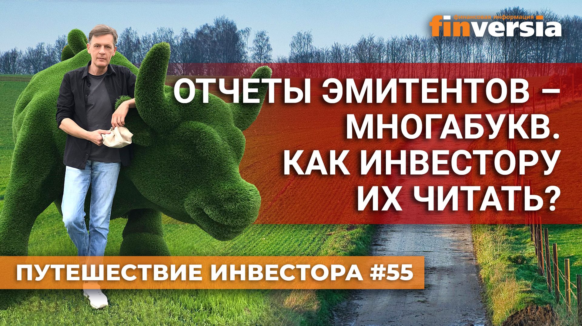 Отчеты эмитентов - многабукв. Как инвестору их читать? | Ян Арт. Finversia