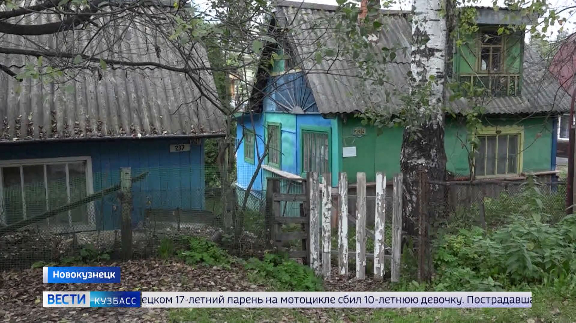 Частный сектор в Новокузнецке уже третью неделю живёт по соседству с медведем