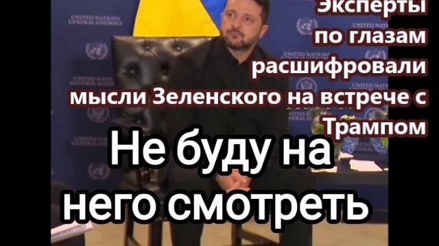 Эксперты по глазам расшифровали мысли Зеленского на встрече с Трампом.