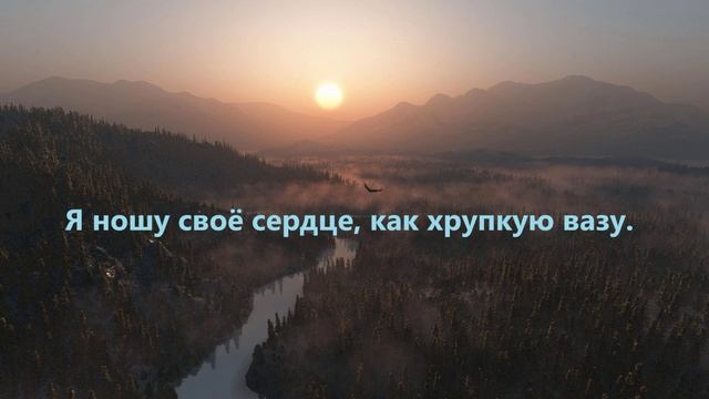 Я ношу своё сердце, как хрупкую вазу.