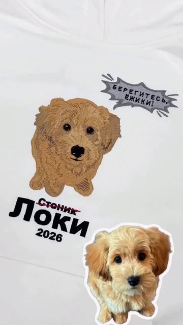 Пришли фото своего ❤️ любимчика в комментариях и я покажу как будет выглядеть вышивка именно с тв...
