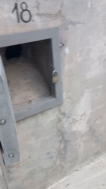Нашла тюрьму для мышей на Горском микрорайоне Новосибирска😅