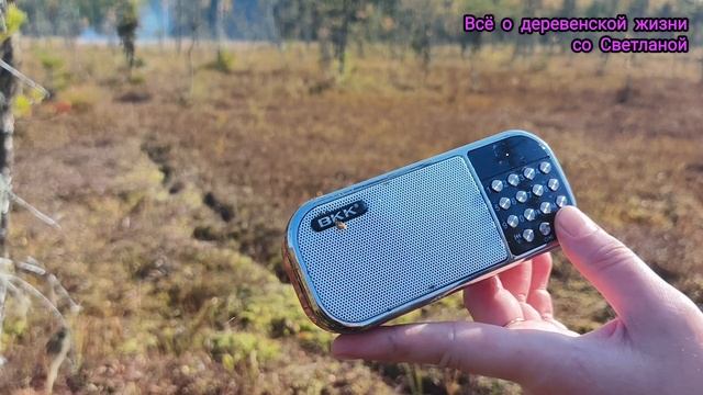 Съездили за клюквой.