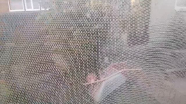 ВЛОГ УТРО ТУМАННОЕ, УТРО СЕДОЕ 23.09.2026/ПЕКУ ДОМАШНИЙ ХЛЕБУШЕК