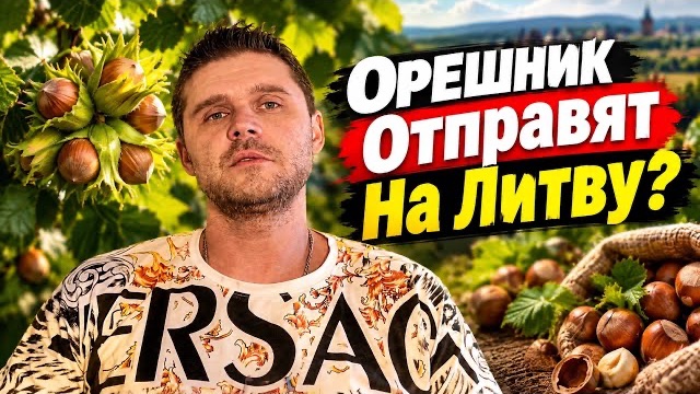 В ГОСДУМЕ ПРИЗВАЛИ УДАРИТЬ ОРЕШНИКОМ ПО… ЛИТВЕ?