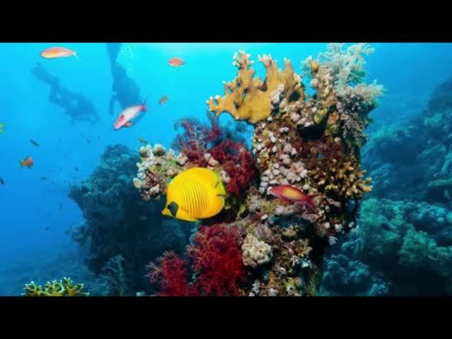 24 сентября - Всемирный день моря
