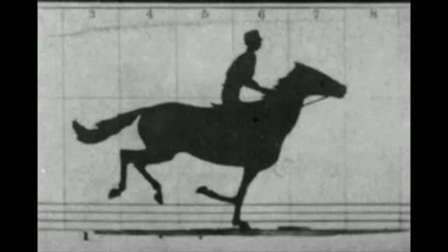 Sallie Gardner At A Gallop (1878) | Muybridge (Мейбридж) | Салли Гарднер в галопе