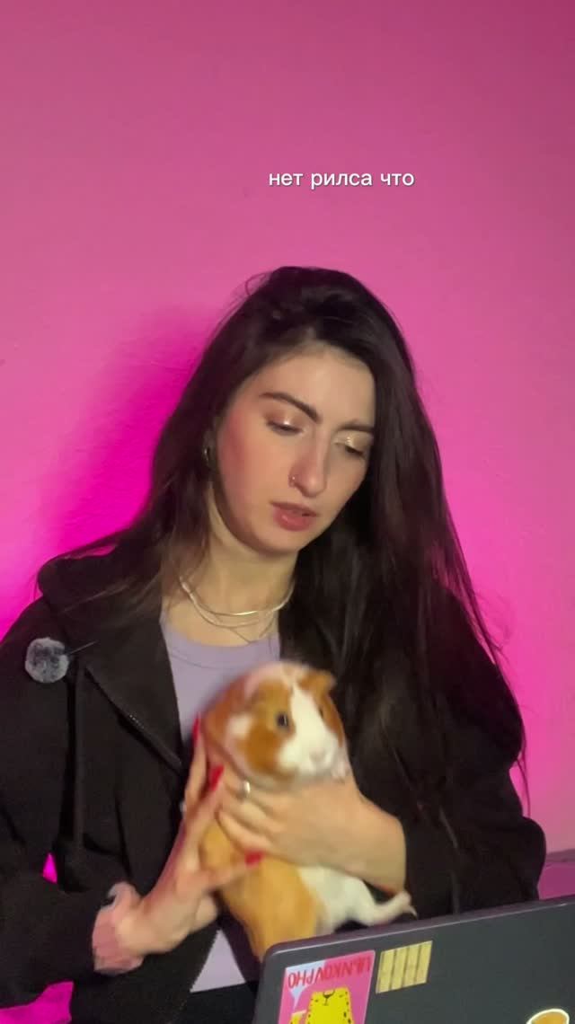 Диалоги со свинкой🎀
