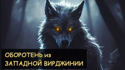 СТРАШНЫЕ И МИСТИЧЕСКИЕ ИСТОРИИ