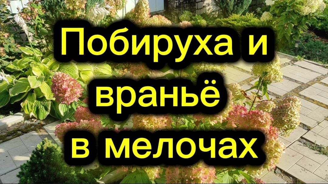 Враньё на вранье