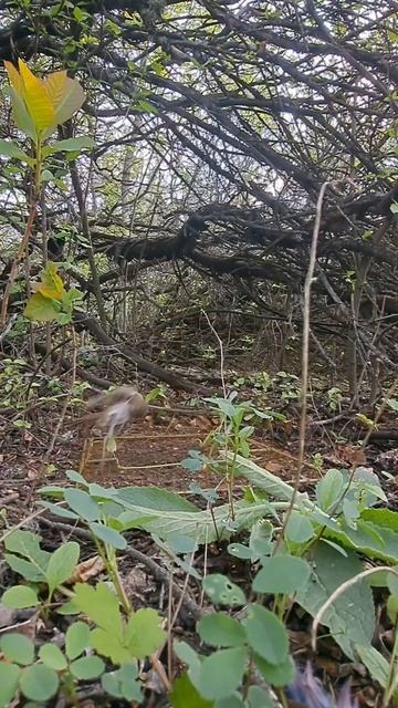 MOV_20260922_220448_479